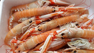 SCAMPI 21/30 PEZZI/KG DA CRUDO CONGELATI A BORDO CASSE POLISTIROLO DA 3 Kg - 899A21