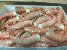 Carica l'immagine nel visualizzatore di Gallery, CODE DI GAMBERO ARGENTINA CONGELATE A BORDO CONFEZIONE DA 2kg - A400SC2