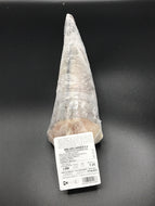 MERLUZZO CAPENSIS SUD AFRICA CONGELATO A BORDO CONFEZIONE A PESO VARIABILE DI CIRCA 900gr
