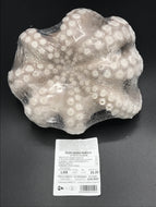 POLPO GROSSO MAROCCO CONGELATO CONFEZIONE A PESO VARIABILE DI CIRCA 1,2kg