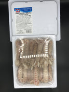 CANOCCHIA MEDITERRANEA PRECOTTA CONGELATA RIVAMAR CONFEZIONI DA 850gr