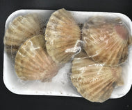 CAPPASANTA ATLANTICA CON GUSCIO CONGELATA CONFEZIONE A PESO VARIABILE DI CIRCA 800gr