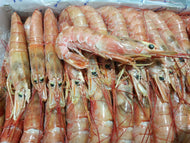 GAMBERO INTERO ARGENTINO L2 20/30 pz/kg CONGELATO A BORDO CONFEZIONI DA 2KG - A406L2